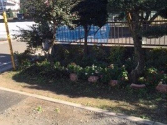 緑豊かな施設の庭
