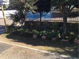 緑豊かな中庭風景