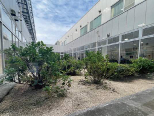 中庭の植栽スペース  