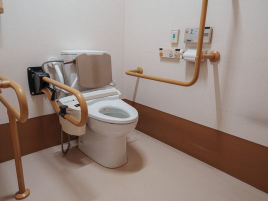 手すりのある安全なトイレ