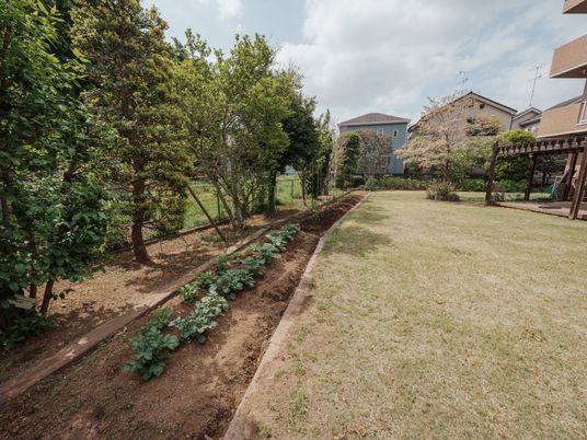 手入れの行き届いた庭