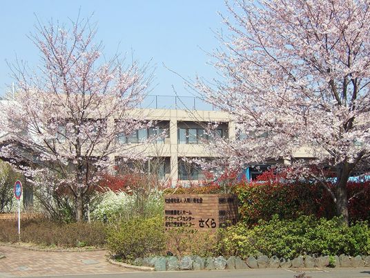 桜に囲まれた建物外観  
