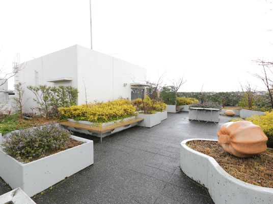 緑豊かな休憩所