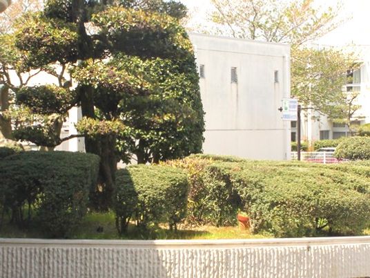 緑に囲まれた外観  