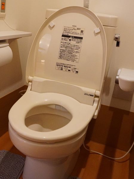 清潔なトイレの様子