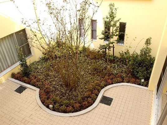 中庭の緑豊かな空間