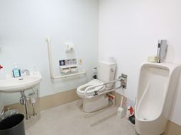 手すり付き清潔なトイレ