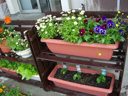 花壇のある玄関先  