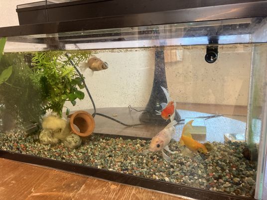 水槽の置いてある部屋