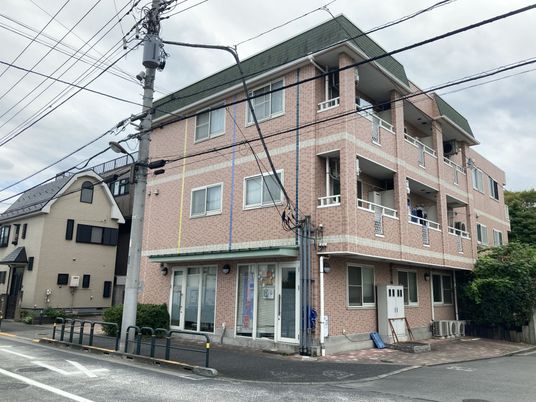 外観の住宅