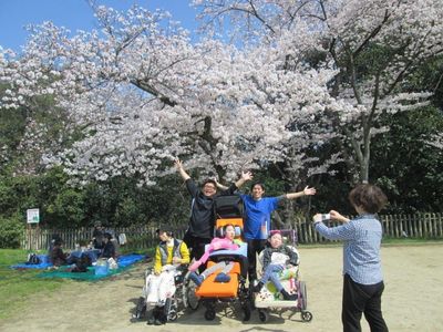 桜の木の下