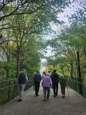 自然豊かな橋