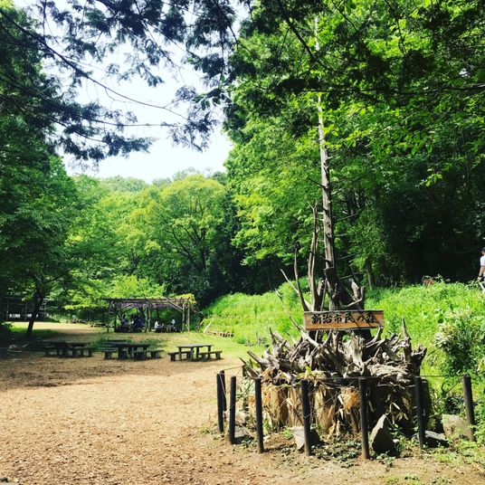 自然豊かな中庭