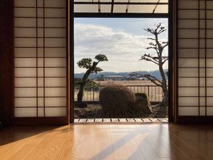 庭が見える和室