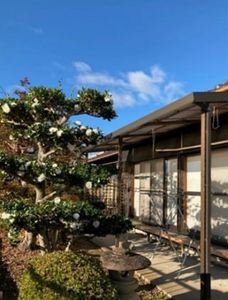 青空と庭の景観