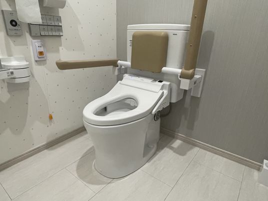 安全設備のトイレ
