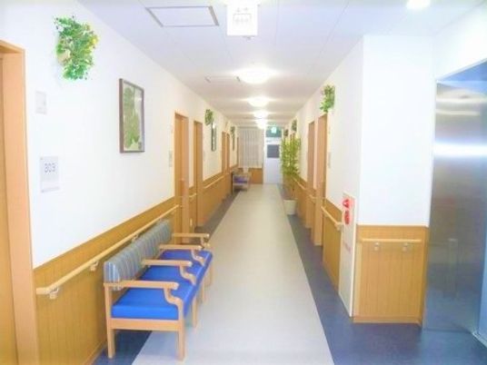 清潔感ある明るい廊下