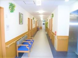 清潔感ある明るい廊下風景