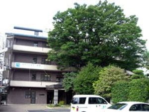 建物外観と木々の庭  
