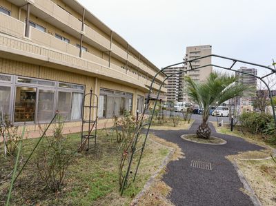 緑豊かな中庭風景