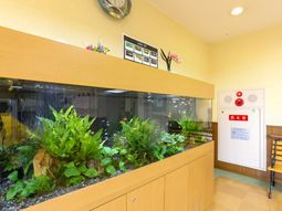 明るい待合室の水槽