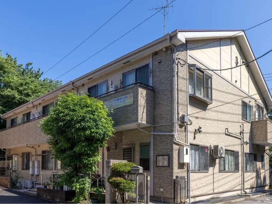 こころの外観