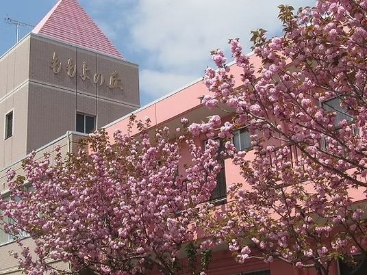 桜が彩る施設外観  