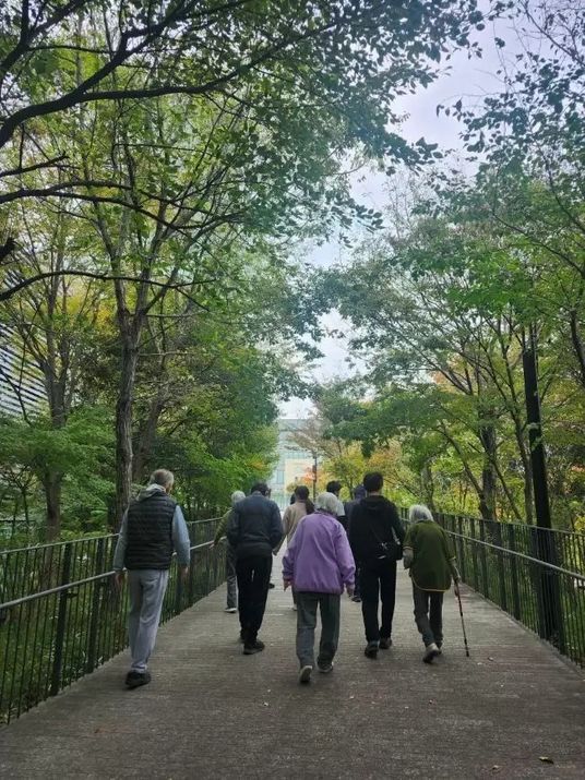 木々の道を歩く風景