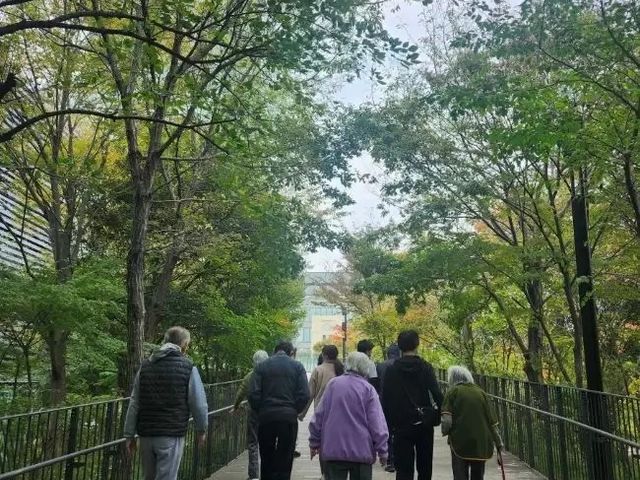 木々の道を歩く風景 庭 緑豊かな道を散歩することで、リフレッシュしたり自然を感じながらリラックスできます。