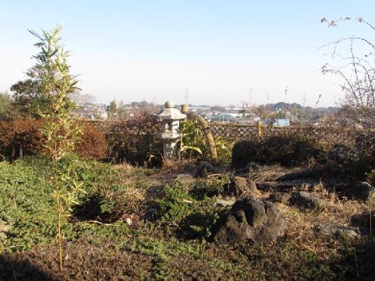 広々とした庭の全景