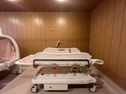 介助用ベッドのある部屋