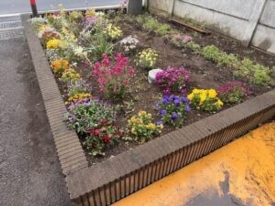 花壇のある庭  