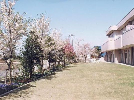 桜並木の庭  