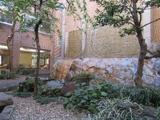 中庭の自然園  