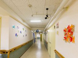 廊下に飾り付け