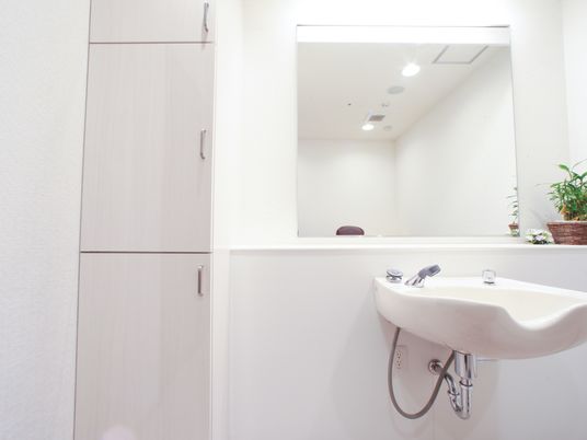 清潔な洗面台とミラー