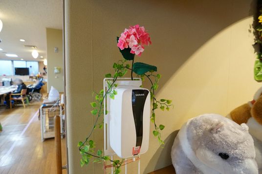 手指消毒剤と飾りの植物