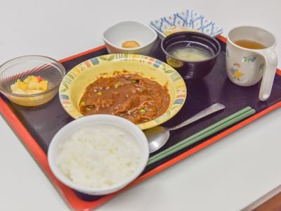 手作り感のある和食の一例