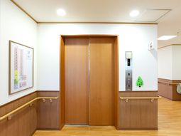 清潔な廊下とエレベーター