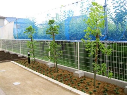 中庭の新緑風景