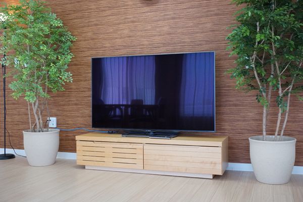 リビングのテレビと観葉植物