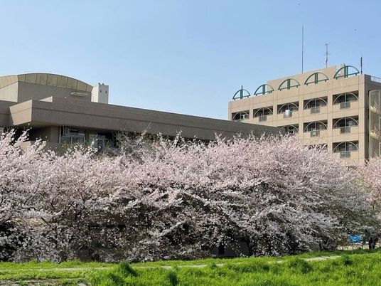 桜と建物の外観  