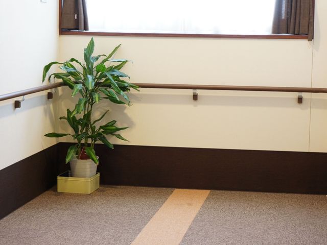 廊下に植物がある場所 廊下 手すり沿いに置かれた観葉植物が、温かみのある廊下の雰囲気を和らげています。通路は広々としていて、歩行に安心を感じます。