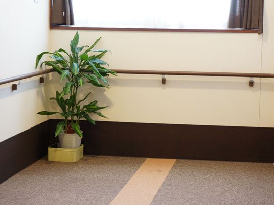 廊下の隅には観葉植物があり、床にはライトグレーのカーペットが敷かれている。そばには、ブラウンのカーテンのついた窓が取りつけられている。