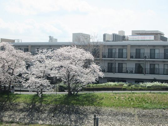桜と建物の外観  