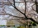 老人保健施設 新座園 介護事務（日勤専従）（正社員）