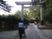 自然豊かな道