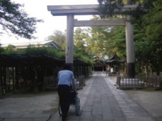 自然豊かな道