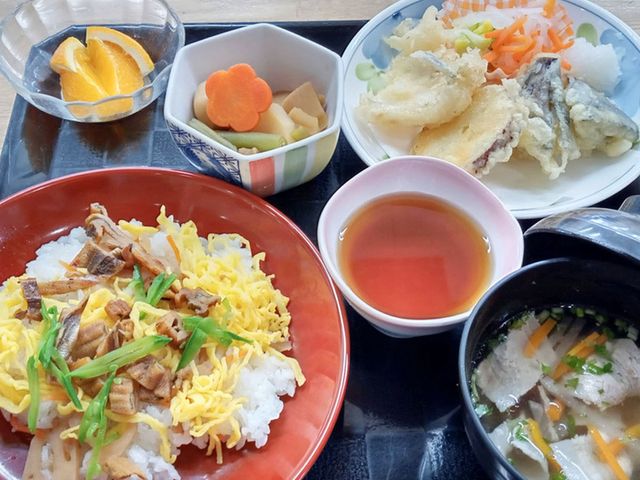 彩り豊かな食事メニュー 料理 彩り豊かな食事が並んでおり、栄養バランスの取れたメニューが魅力です。温かいお茶と一緒に心地よい食事時間を楽しめます。