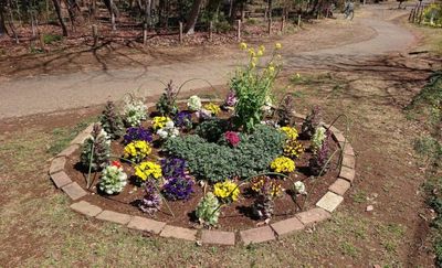 色とりどりの花壇 庭